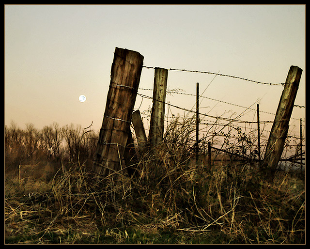 Mississippi Moon