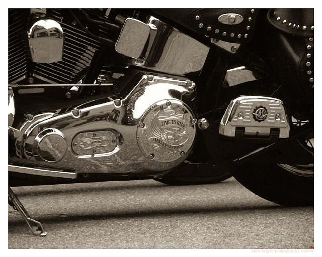 Live to Ride - Ride to Live