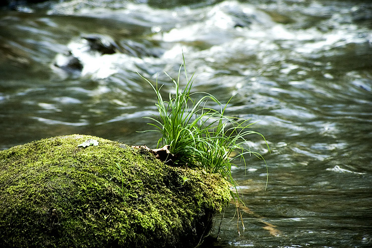 The Sun in the Stream