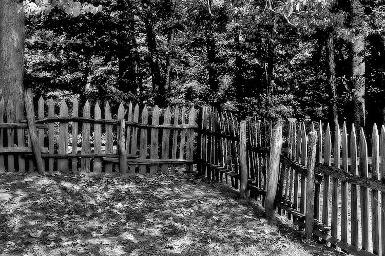 Wind in Lonely Fences