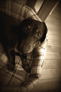 Love me?