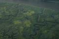 Tributaries