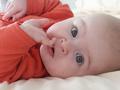 Meridian - 4 Months