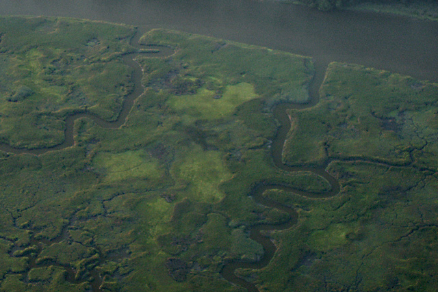 Tributaries