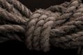 Intertwine