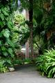 Garden Path