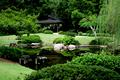Japanese Garden