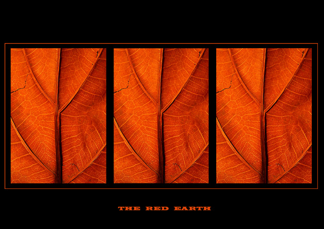 The Red Earth