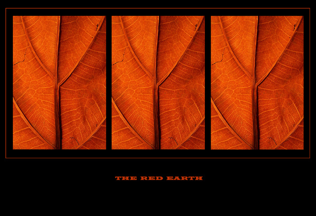 The Red Earth #2