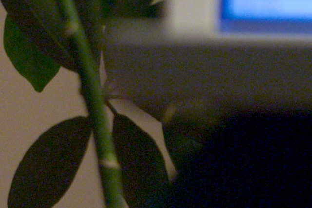 4995 ev0 iso800 0.8s