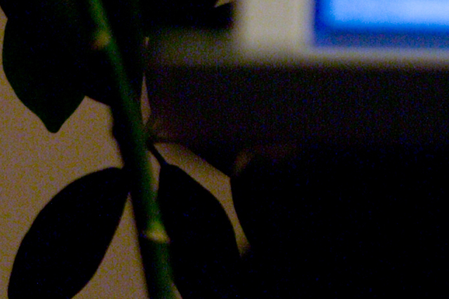 4996 ev-3 iso100 0.8s