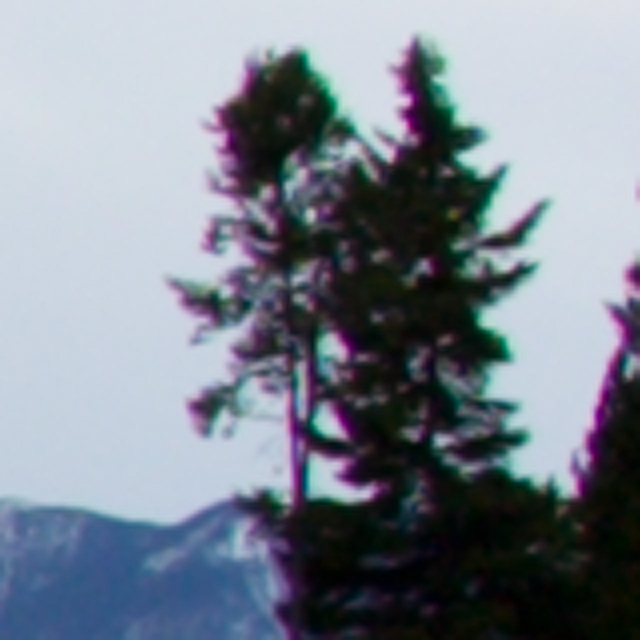 Adobe Camera Raw (w/o CA)