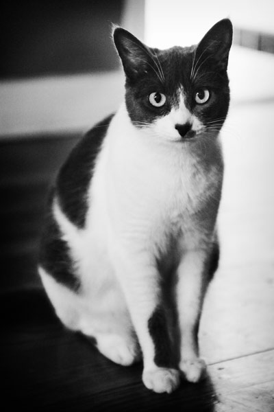 D3 @ 6400 iso