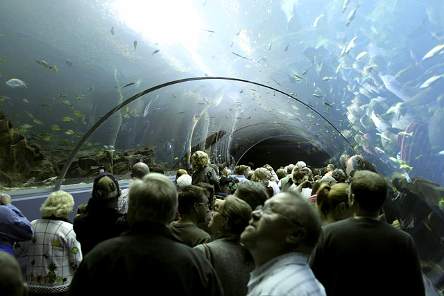 Ocean Tunnel