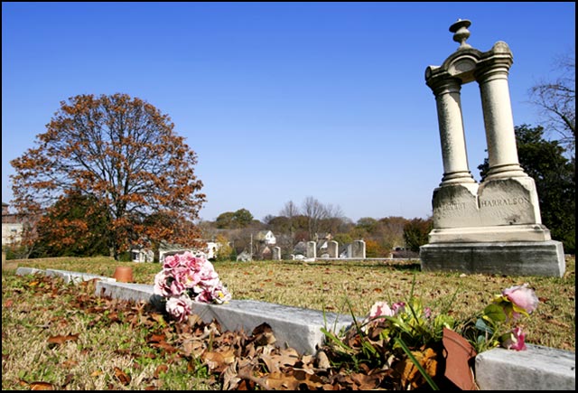 Flowers for Harralson