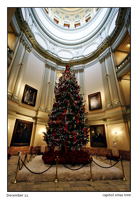 December 22: capitol xmas tree