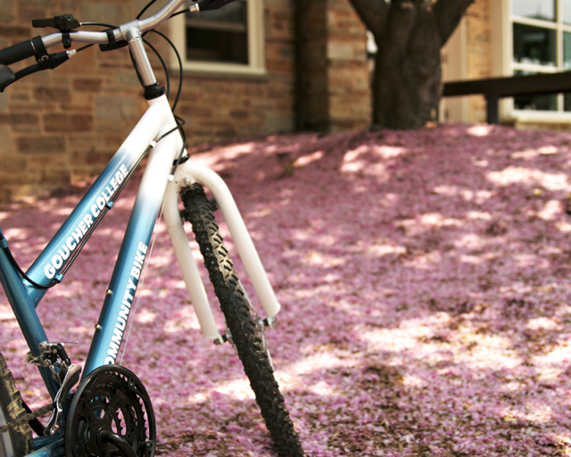 Community Bike