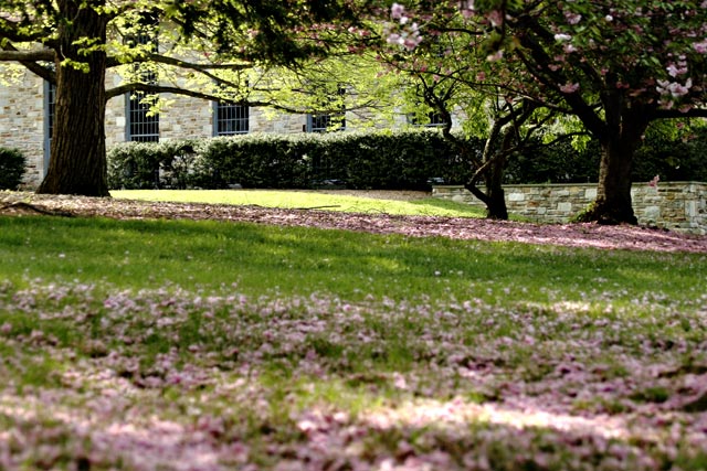 Haebler Lawn