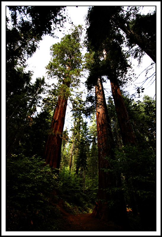 Path Among Giants