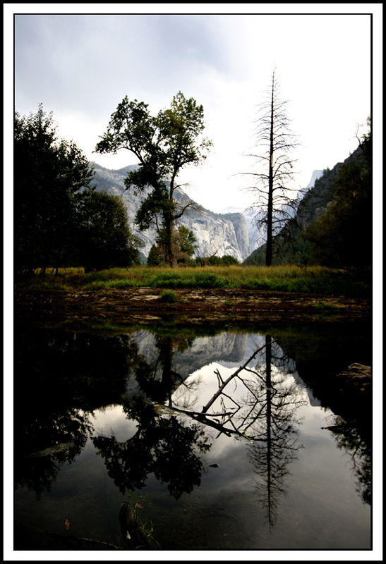 Meadow Pond