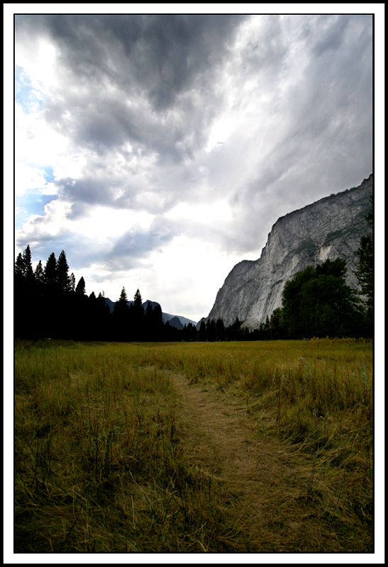 Meadow Path