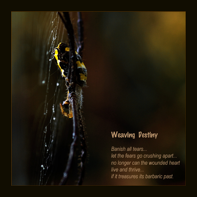 weaving destiny copy.jpg