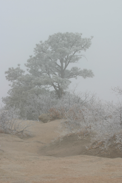 Daniel's Fog