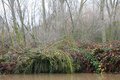 River Cage