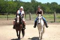 You could ride a horse....