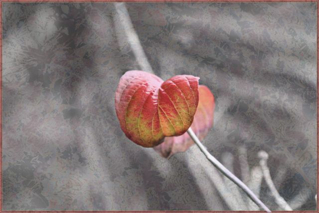 layeredleaf