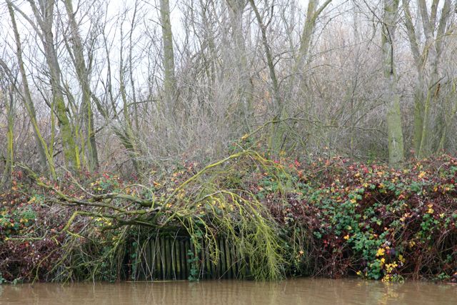 River Cage 