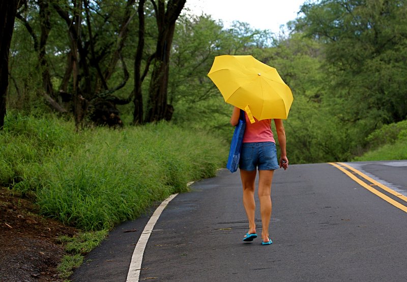 Yellow Umbrella
