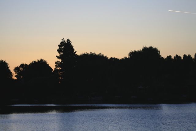 plane at sunset