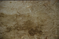 tulle8444 (21).png