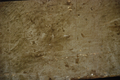 tulle8444 (22).png