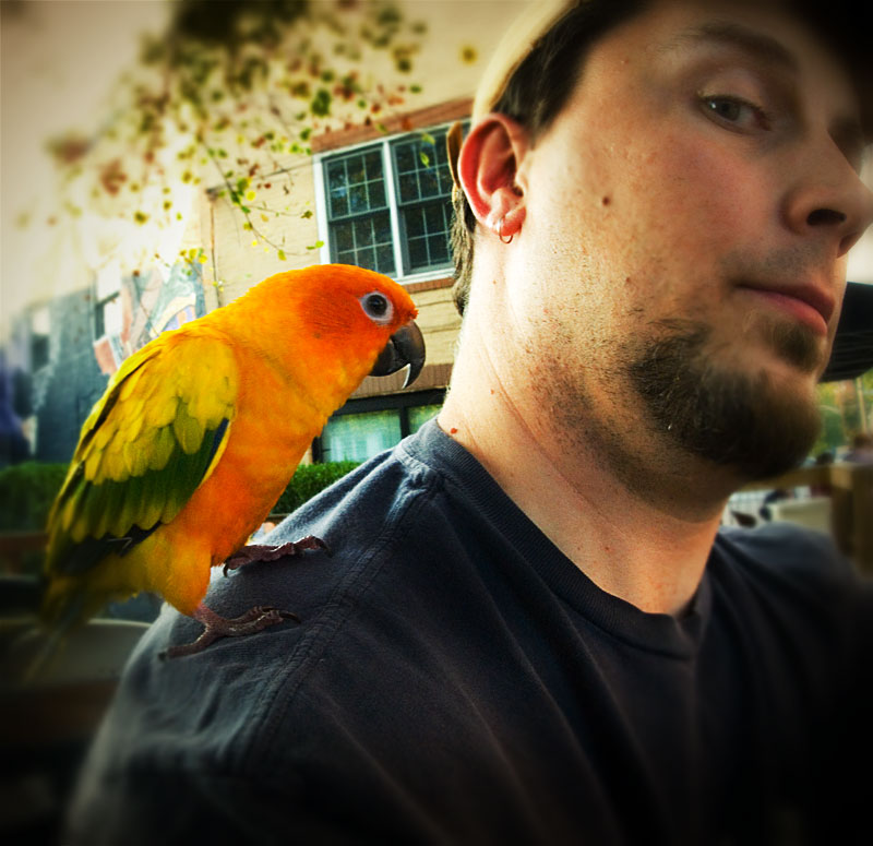 9: so, a bird landed on my shoulder