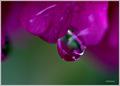 water drop