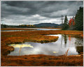 maine3.jpg