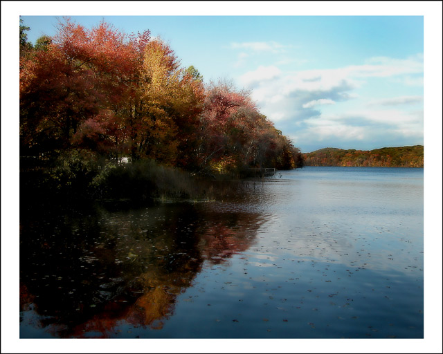 white pond