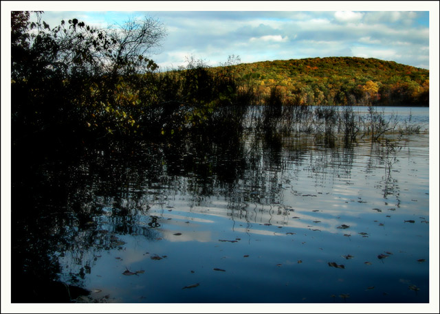 white pond 2
