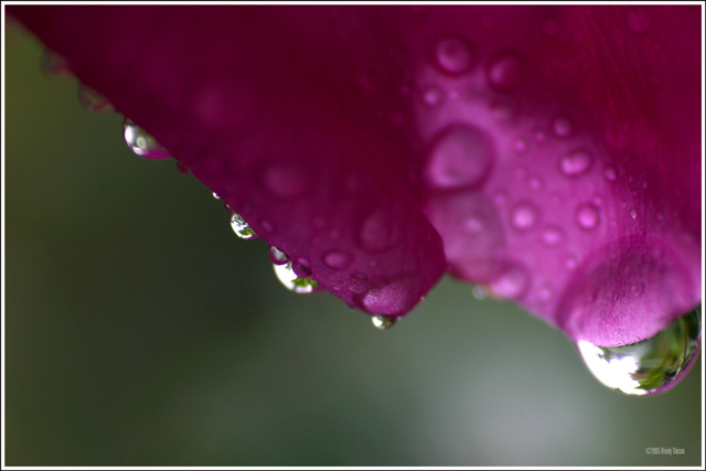 water drops
