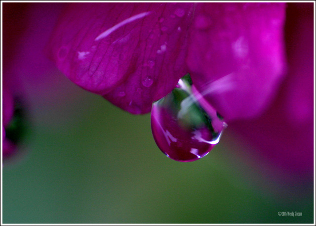 water drop