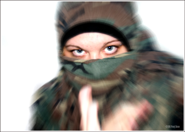 shutter ninja