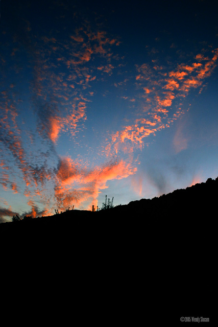 catskill sky