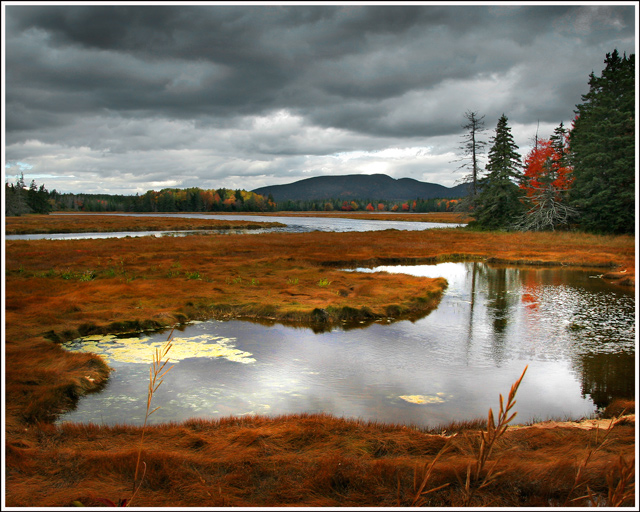 maine3.jpg