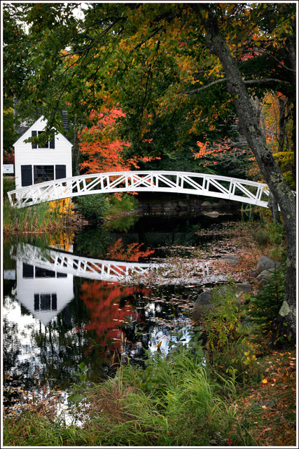 maine4.jpg