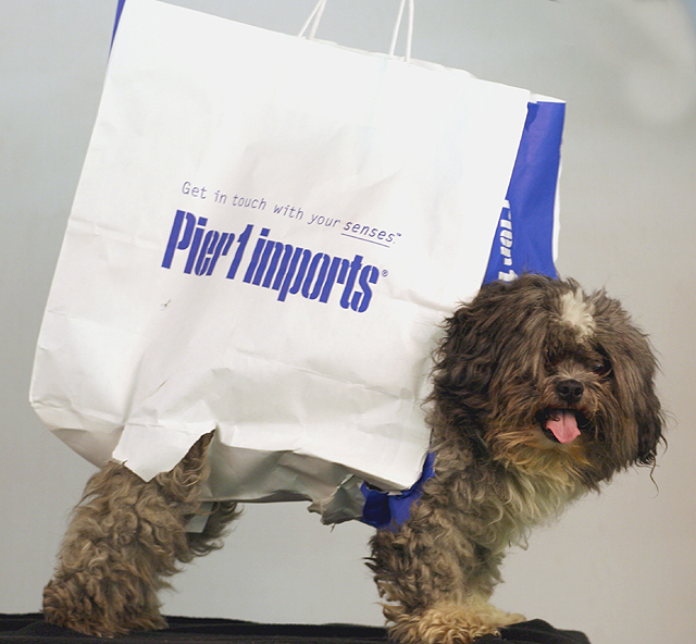 A Day Of Shopping.jpg