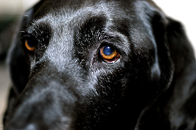 50mm_1.8_test3.jpg