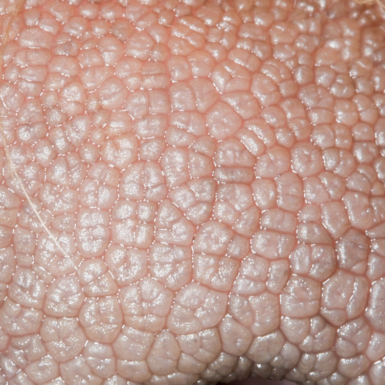 WHatsit_2012-03-05_2