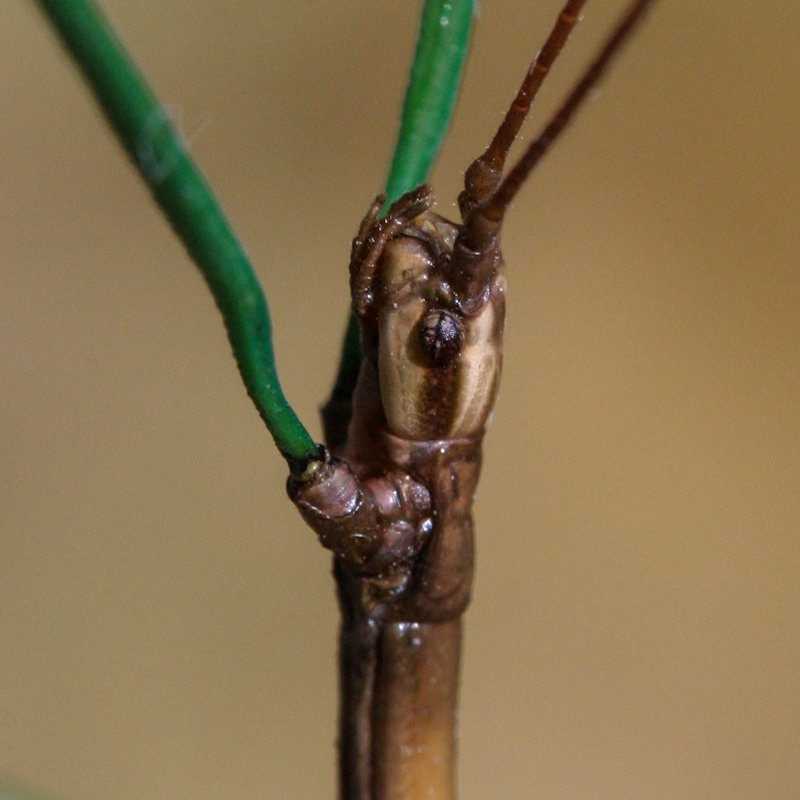 Whatsit 2012-04-22